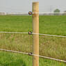 /static/uploads/pictures/mini/70010246_2.jpg