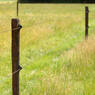 /static/uploads/pictures/mini/70010260_2.jpg