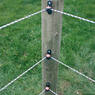 /static/uploads/pictures/mini/70010269_2.jpg