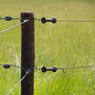 /static/uploads/pictures/mini/70010312_2.jpg