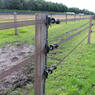 /static/uploads/pictures/mini/70010317_4.jpg