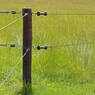 /static/uploads/pictures/mini/70010319_3.jpg