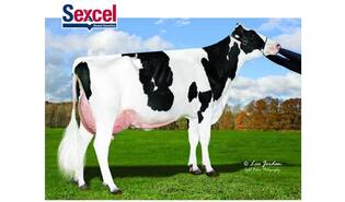 Aprilday Twilight-red sexcel