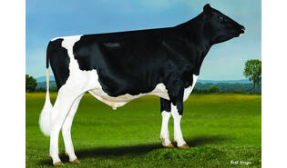 Denovo 80128 Briggs-P-ET sexcel