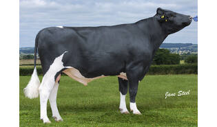 Forncett Conrid