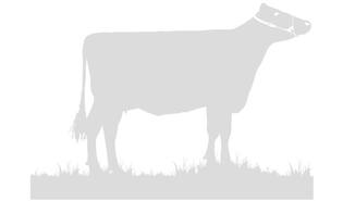 Genosource Matzoon