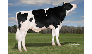 Cherry-Acres ABS Lottery-ET