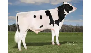 ABS 18 Galactic sexcel