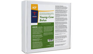 Young-Cow bolus 12 x 110 gr