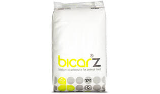 Bicarbonate de sodium 25 kg
