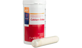 Calcium-Bolus 7 x 100 gr