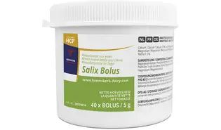 Salix Bolus 40 x 5 gr