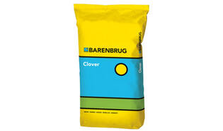 Witte klavermengsel Quartet 10 kg