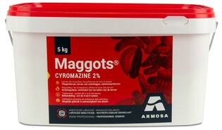 Maggots 5 kg
