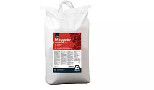 Maggots 25 kg