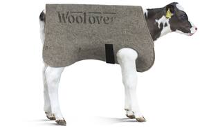 Woolover taille L