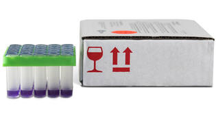 Delvotest T 25 ampoules