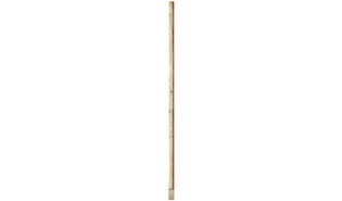 Planche L Tanalith 100,5 x 3500 mm