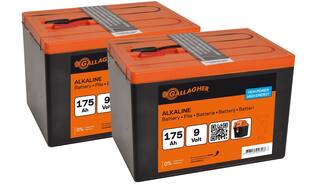 Duopack Alkaline batterij 2x 9V/175Ah - 190x125x160mm