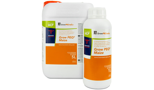 Grow PEQ Maize